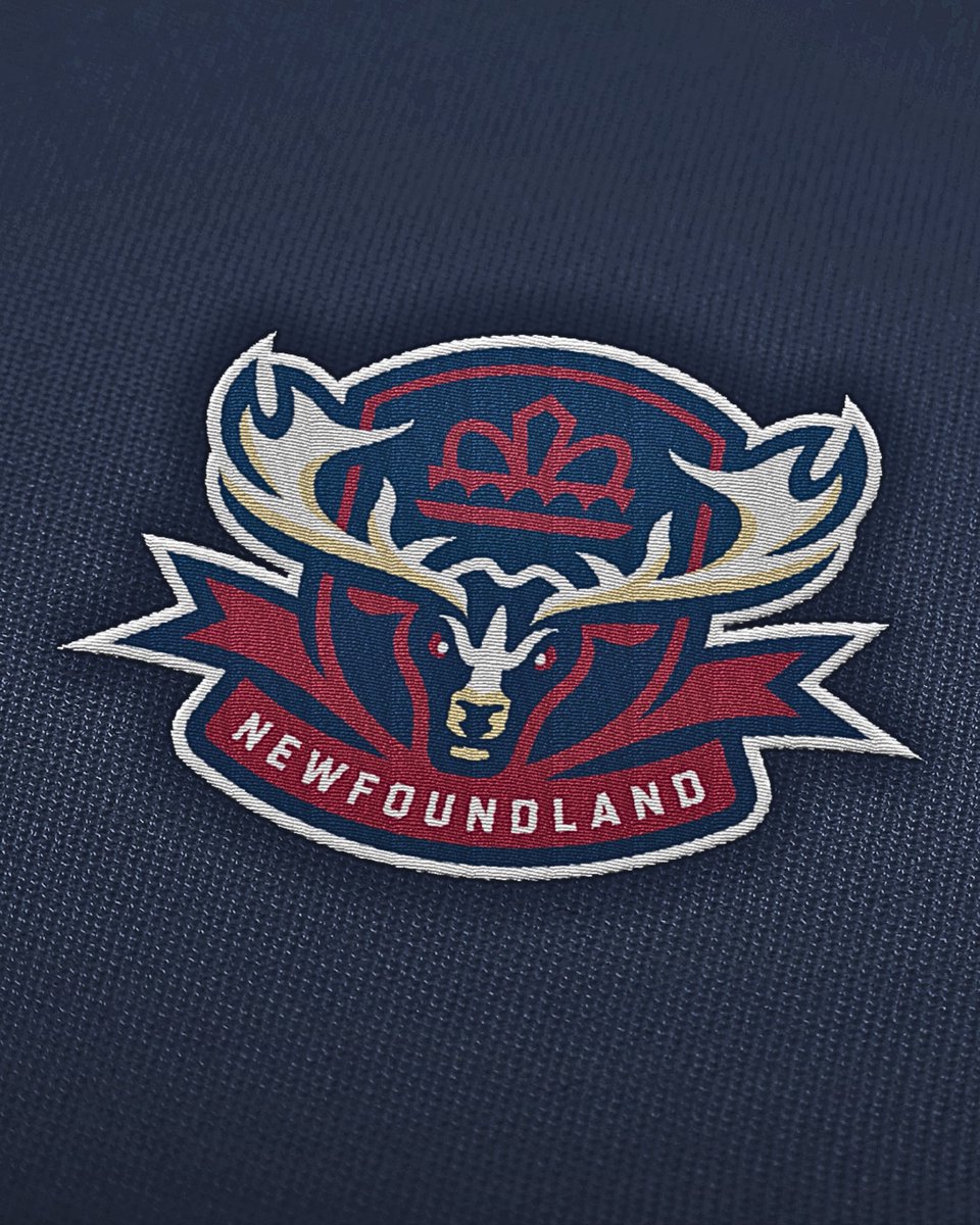 Newfoundland Regiment tweet media