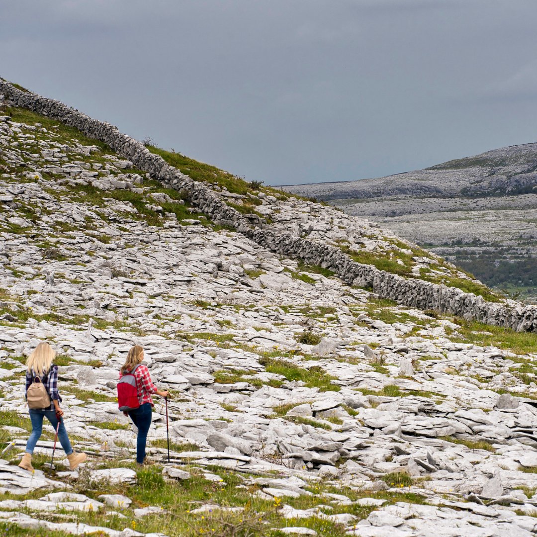 ClareTourism's tweet image. 💛💙 Explore the Wonders of the Burren &amp;amp; Cliffs of Moher UNESCO Global Geopark!

Step into the breath-taking landscape of the Burren &amp;amp; Cliffs of Moher UNESCO Global Geopark, a stunning 36,000-hectare region in North Clare. 

#VisitClare #BurrenGeopark #CliffsOfMoher