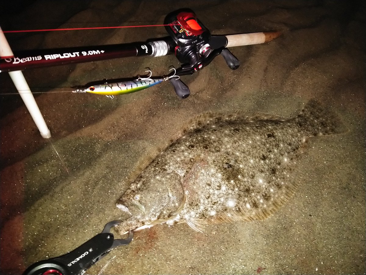 mocchan_1977's tweet photo. シーバスを狙いに行って、違和感を感じた方向にルアーを投げたら、ヒラメが釣れました😅
嬉しい外道
#フィッシュマン
#fishman
#ジャクソン
#アスリート12ssp https://t.co/WYBxbJCQyD