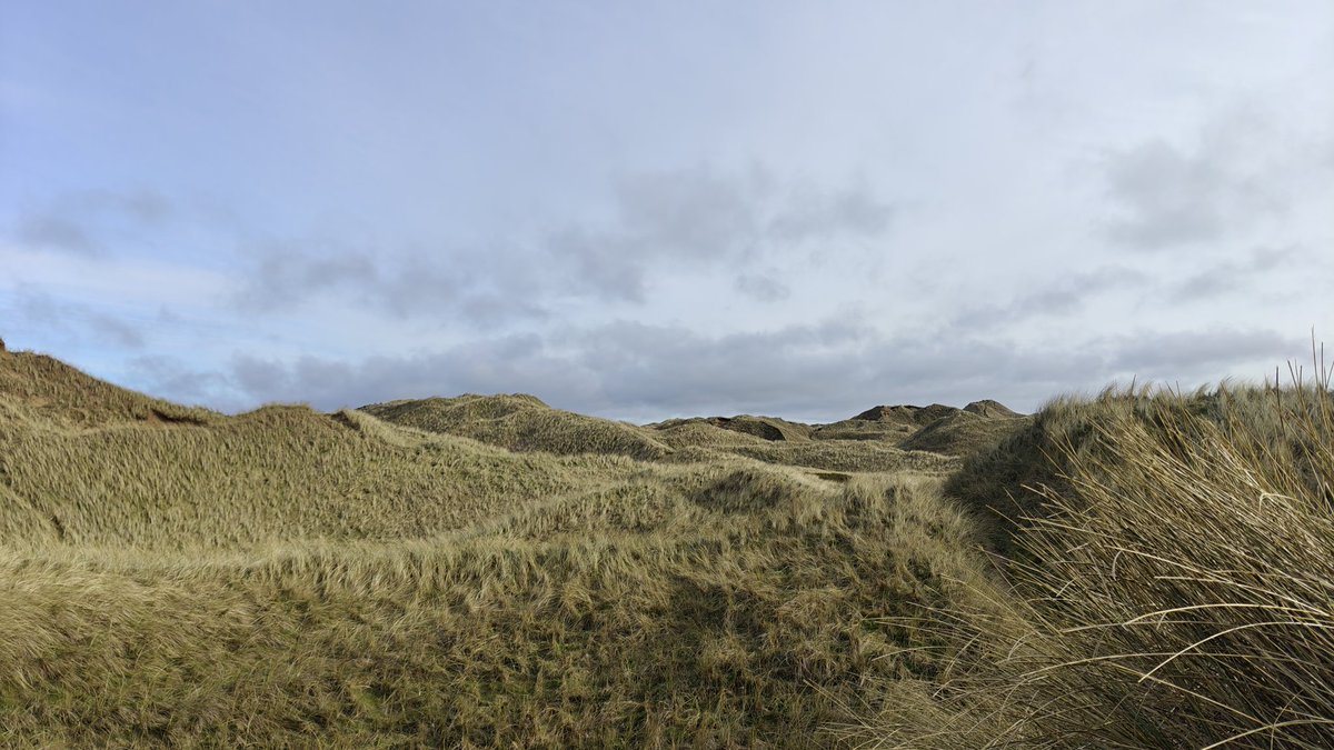 It's nice that sometimes for work I get to go out to the sand dunes