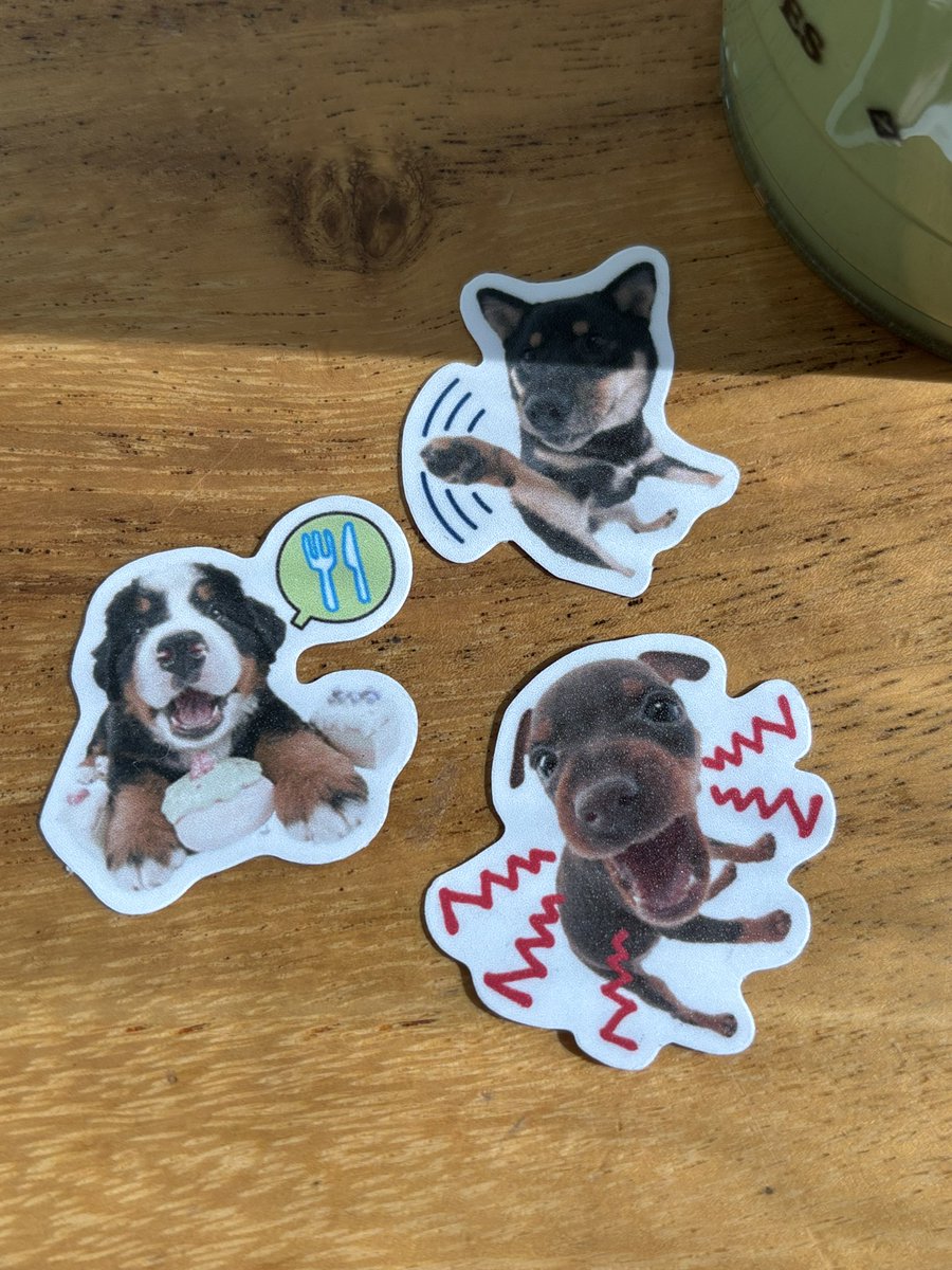 lorpunk's tweet photo. jayce dogs https://t.co/zsiO93rnks