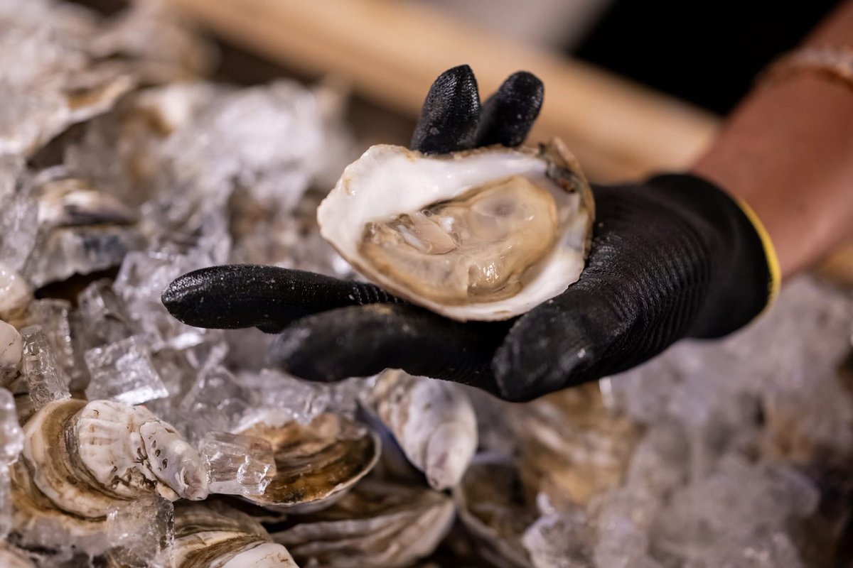 Pratt Contemporaries tweet media