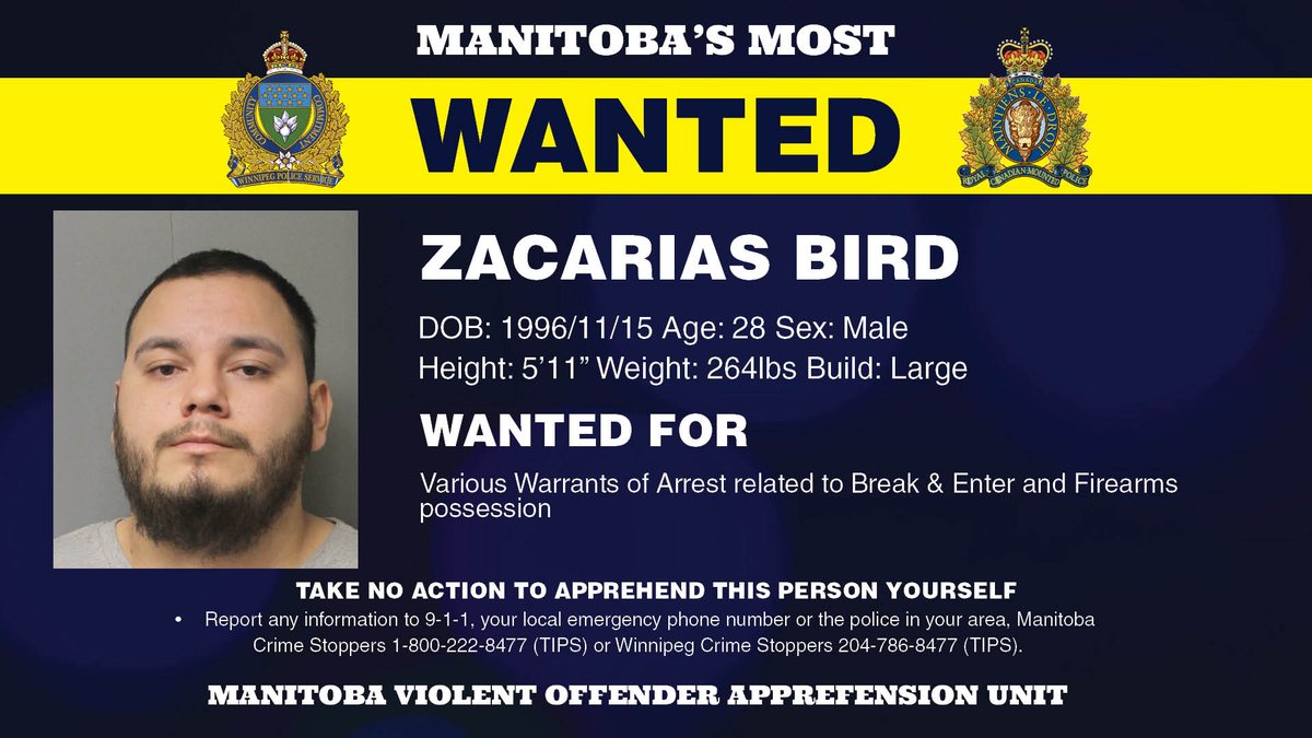 rcmpmb's tweet photo. Zacarias Bird, 28-years-old, is wanted for various warrants of arrest related to break & enter and firearms possession. Bird is 5’11 and 264lbs.
View the full list here: https://t.co/TUtWQPzkOR
#MBMostWanted #WantedWed #RCMPMB https://t.co/3Nss5tTja8