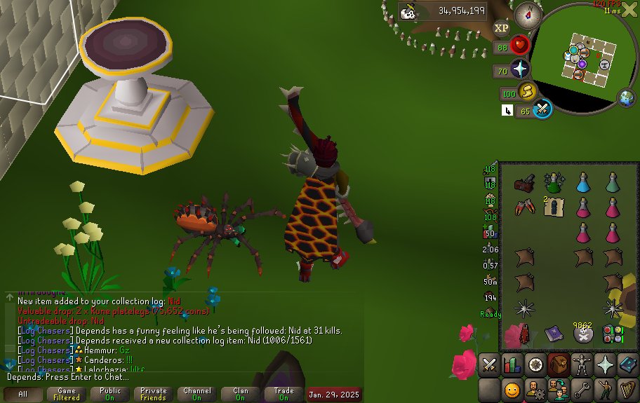 DependsRS's tweet photo. Pet #24 - Nid - 31 kc https://t.co/kRLHSEd56Y