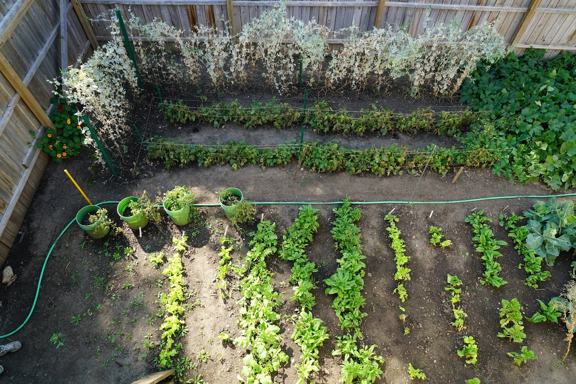 Mount Rushmore tweet media