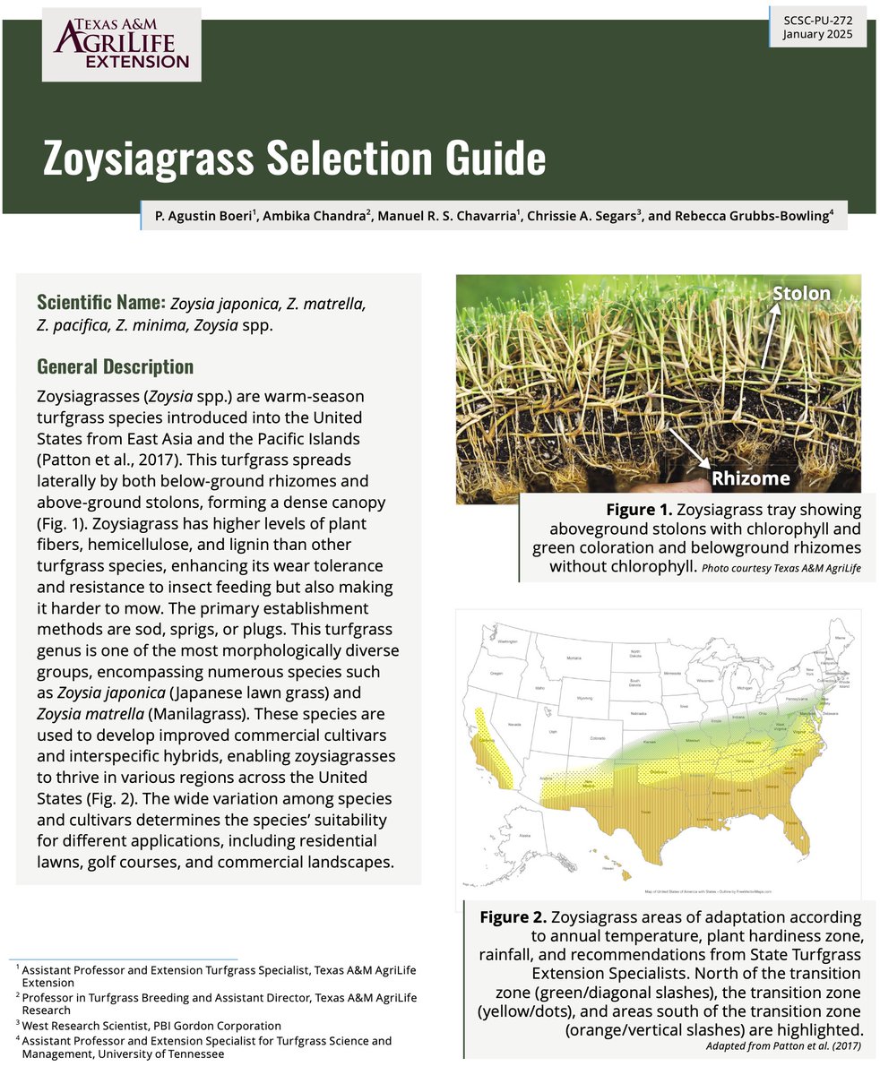P. Agustin Boeri, Ph. D. (@dragustingrass) on Twitter photo A new Zoysiagrass Selection publication is now available for download from AgriLife Learn: agrilifelearn.tamu.edu/s/product/zoys…
<a href="/AggieTurf/">AggieTurf</a> <a href="/txextension/">Texas A&M AgriLife Extension Service</a> <a href="/AgriLifeDallas/">AgriLifeDallas</a> <a href="/ChandraAmbika/">Ambika Chandra</a> <a href="/Manolo_Turf/">Manuel Chavarria Ph. D</a> <a href="/hairyligule21/">Chrissie Segars 🤓</a> <a href="/TNTurfWoman/">Becky Bowling, PhD</a> A new Zoysiagrass Selection publication is now available for download from AgriLife Learn: agrilifelearn.tamu.edu/s/product/zoys…
<a href="/AggieTurf/">AggieTurf</a> <a href="/txextension/">Texas A&M AgriLife Extension Service</a> <a href="/AgriLifeDallas/">AgriLifeDallas</a> <a href="/ChandraAmbika/">Ambika Chandra</a> <a href="/Manolo_Turf/">Manuel Chavarria Ph. D</a> <a href="/hairyligule21/">Chrissie Segars 🤓</a> <a href="/TNTurfWoman/">Becky Bowling, PhD</a>
