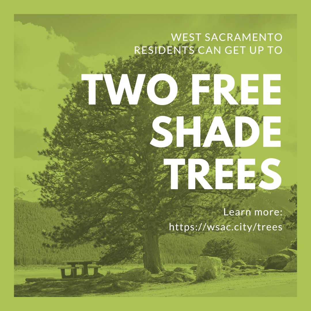 🌳 Get Up to 2 Free Shade Trees for Your Home! 🌳

🗓 Don’t Miss Out!
The next tree delivery is scheduled for the end of April, so make sure to submit your request by March 31st.

Visit wsac.city/trees for more info!🌳✨