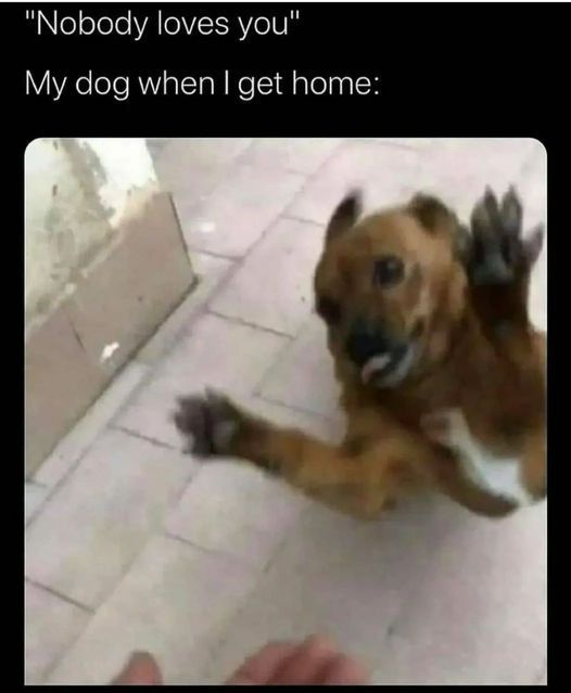 WholesomeMeme's tweet photo. https://t.co/hCmfSQNUEl