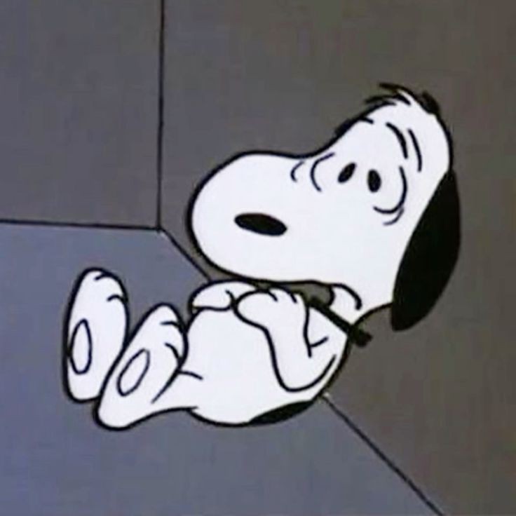 El venezolano promedio últimamente: