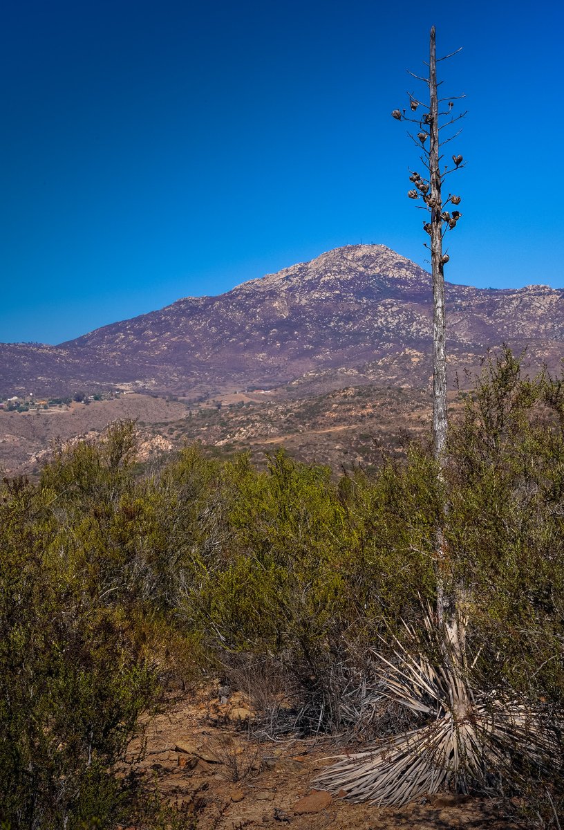 Bureau of Land Management California tweet media