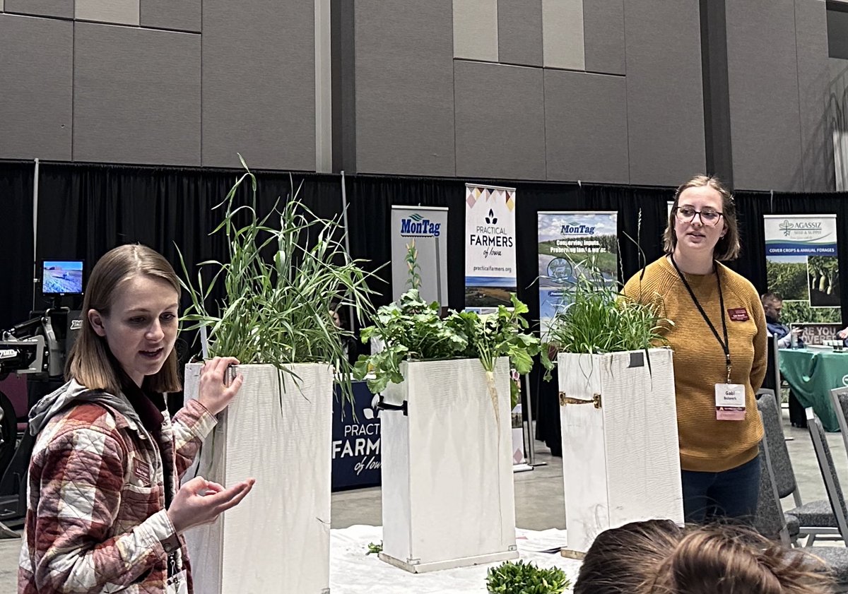 SoilLorax's tweet image. ⁦@baileytangen⁩ and Gabi Bolwerk are new ⁦@UMNExt⁩ educators who are passionate about soils and #covercrops! Today they are discussing these cover crops, rooting structures, and grazing value. #sms2025 ⁦@UMNExt⁩
