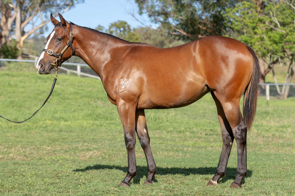 WillowParkStud tweet media