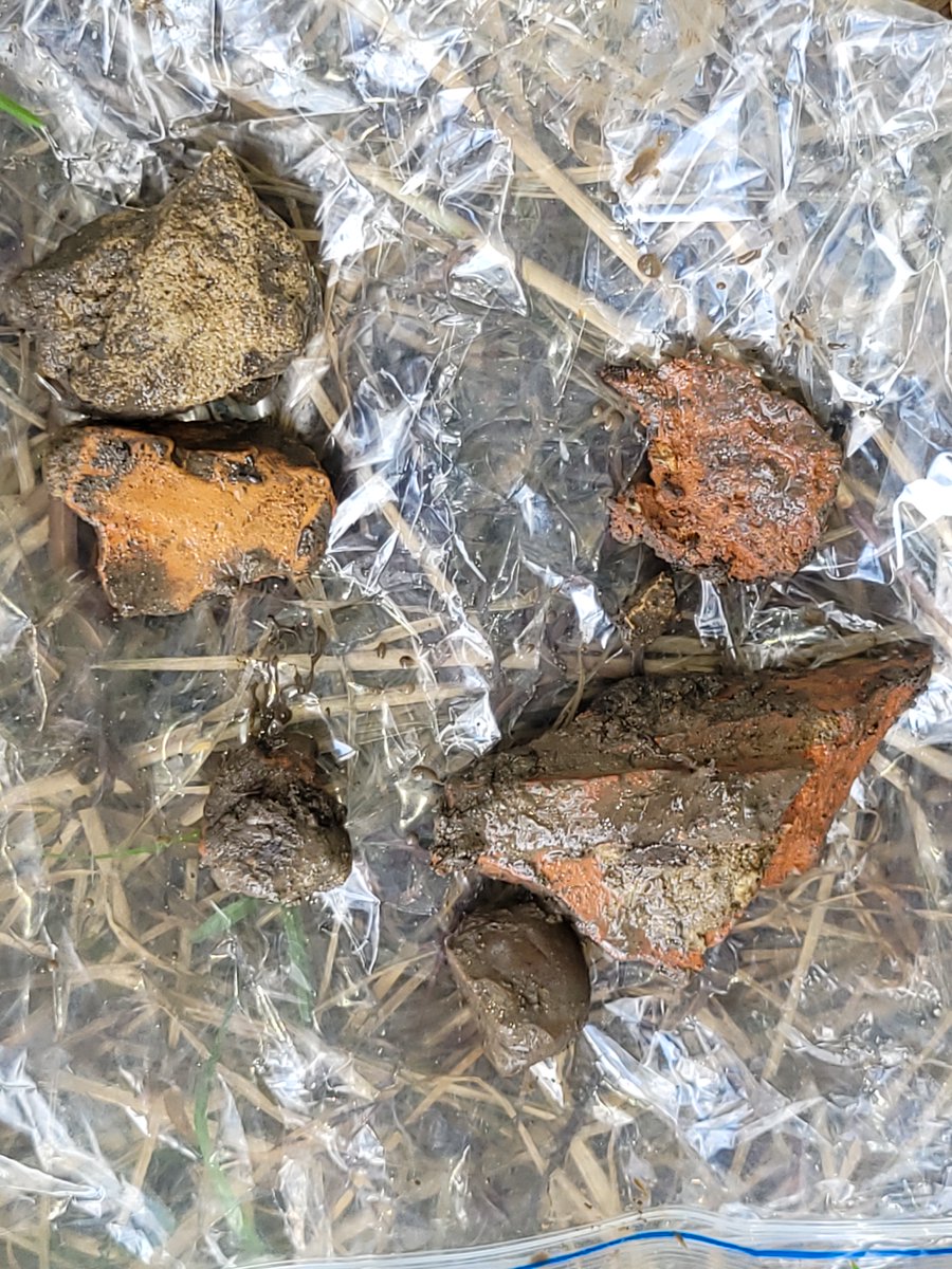 ColombianSoils's tweet photo. Version 4.0 of the Field Book for Describing and Sampling Soils is now available. Updates include refinements in artifact classification, such as type and size, as well as the inclusion of the term anthropogenic landforms. Here the link: https://t.co/hqxc3heooV https://t.co/tuXRhlnnII