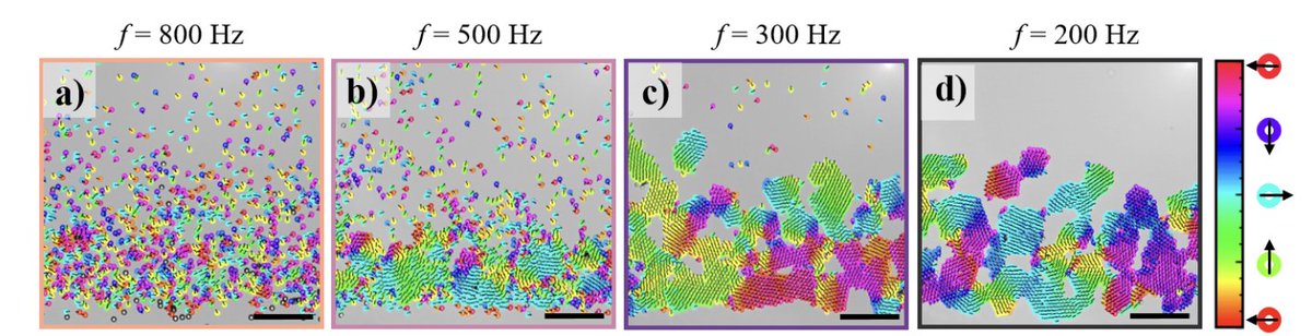 Laura Alvarez (@lauraalvarez_f) on Twitter photo What started as a final postdoc idea project before leaving <a href="/ETH_Materials/">ETH Department of Materials</a> finished up as a beautiful piece of work led by my dear collegue Carlijn V.Baalen. Congrats to Carlijn and thanks for trusting Friday afternoon ideas :)
Check our prepint below!👇
arxiv.org/abs/2412.16658 What started as a final postdoc idea project before leaving <a href="/ETH_Materials/">ETH Department of Materials</a> finished up as a beautiful piece of work led by my dear collegue Carlijn V.Baalen. Congrats to Carlijn and thanks for trusting Friday afternoon ideas :)
Check our prepint below!👇
arxiv.org/abs/2412.16658