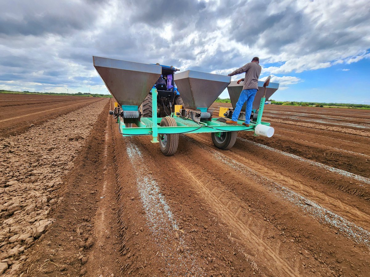 ¿La Isla del Encanto? Con estas fotos, hoy te transportamos a Santa Isabel, Puerto Rico, para que veas cómo es un cultivo boricua de sandía.🌱Allí aplicaron YaraMila COMPLEX, que por su composición nutricional, es el fertilizante ideal para el arranque de tu cultivo de sandía.🍉