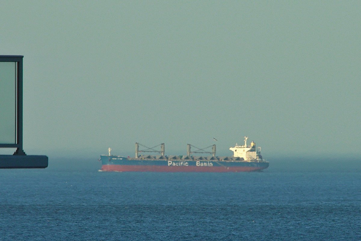 johnmorgan726's tweet photo. The SKOMER ISLAND, IMO:9573854 en route to Norfolk, Virginia, flying the flag of Hong Kong 🇭🇰. #PacificBasin #BulkCarrier #SkomerIsland #ShipsInPics https://t.co/89laFrD5m2