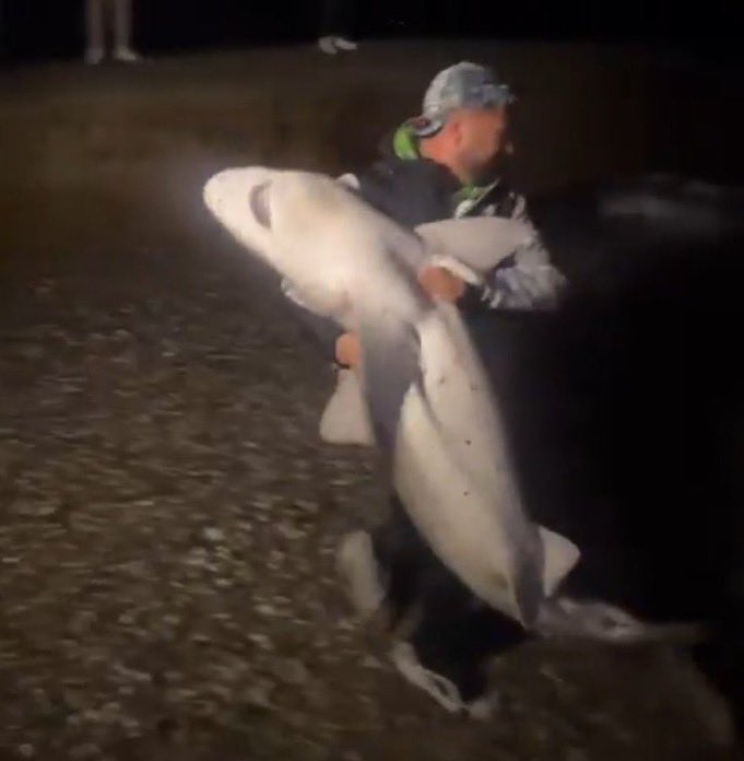 komiteden komiteye koştururken geçirdiğim fenalık