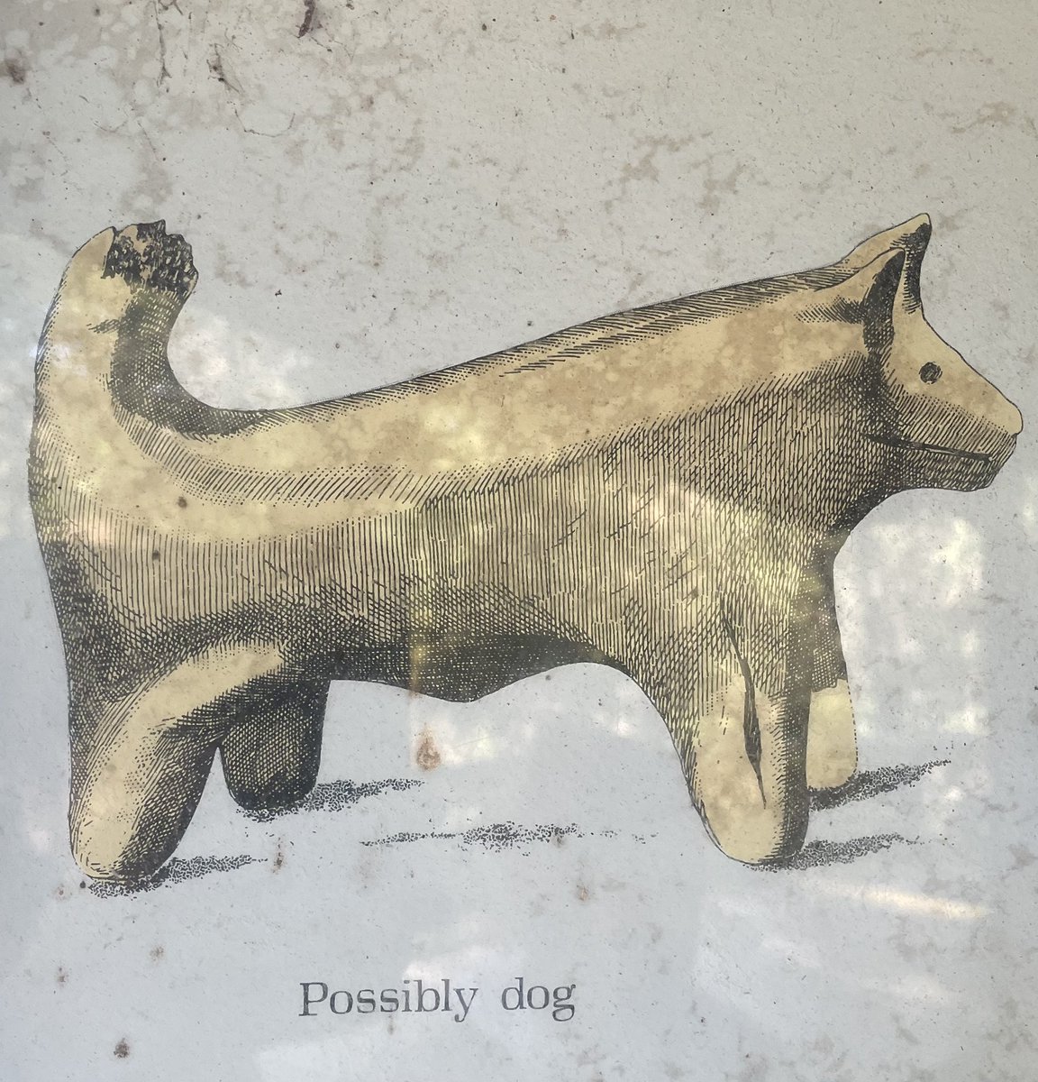 Bro are you coming through later