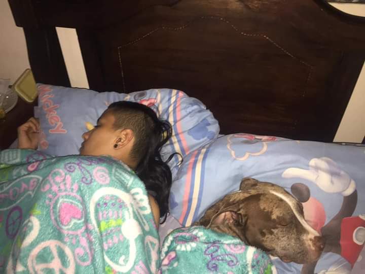 NewsDigitalesAr's tweet photo. Alguien: los perros tienen que dormir en el patio,tienen pulgas ,y son animales no personas.

Mi perro y yo. https://t.co/N56SubbapT