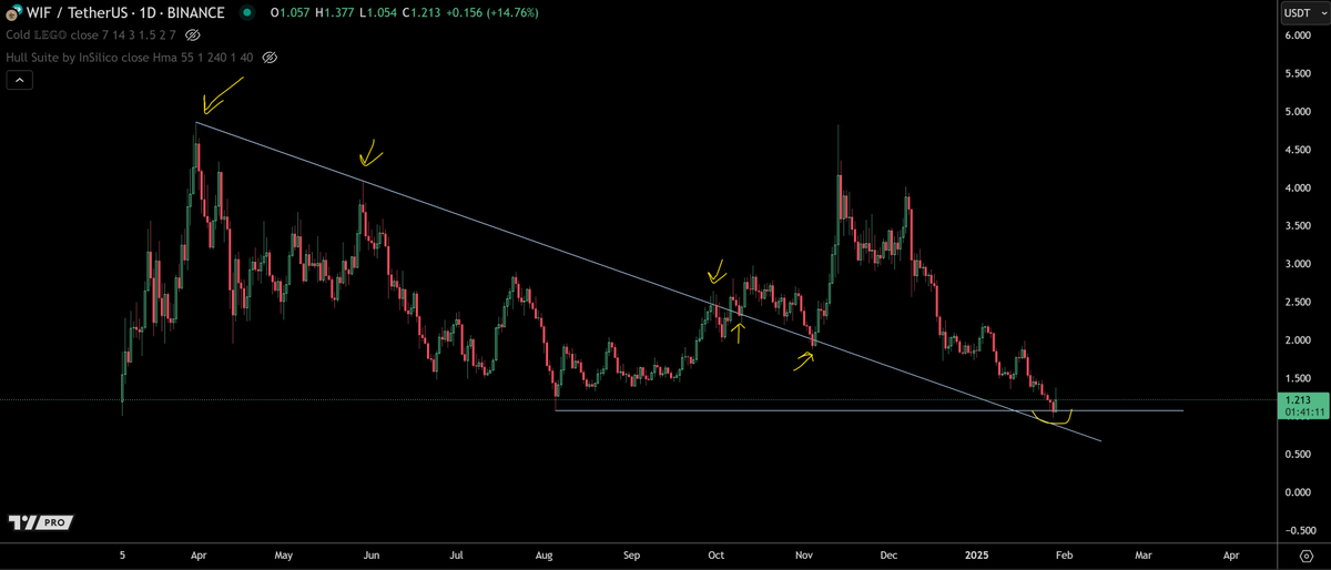 trader1sz's tweet photo. $WIF https://t.co/kJAZuucn8X