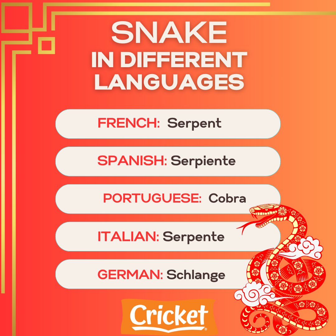 Happy #YearOfTheSnake! In Mandarin Chinese, the word for “snake” is 蛇, or Shé. But how do you say “snake” in some of the other languages we offer? Here are just a few! #LunarNewYear