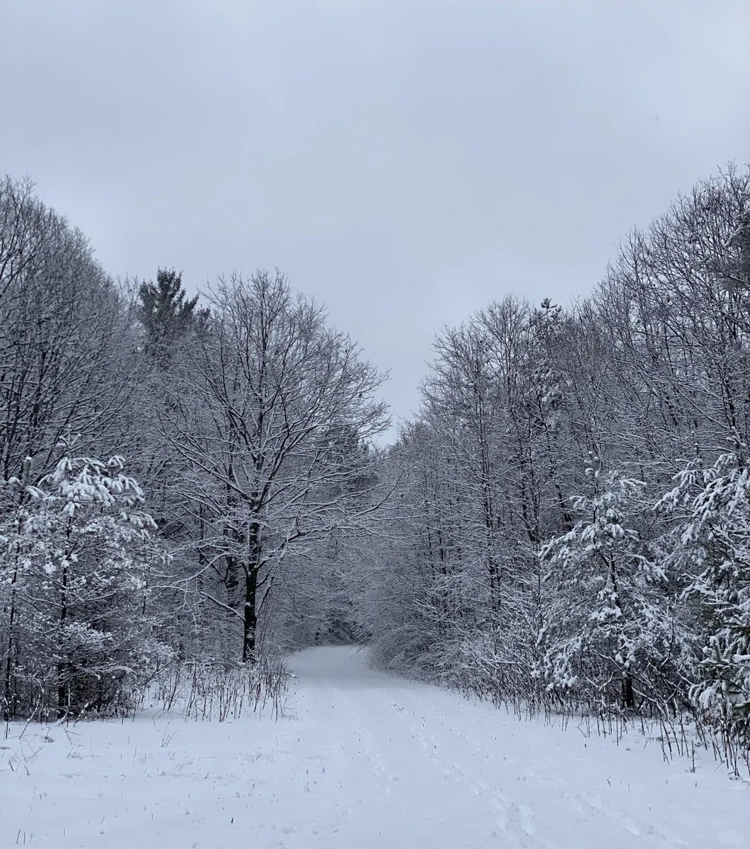 gyufjtyk's tweet image. The mountains are calling and I must go.🌹