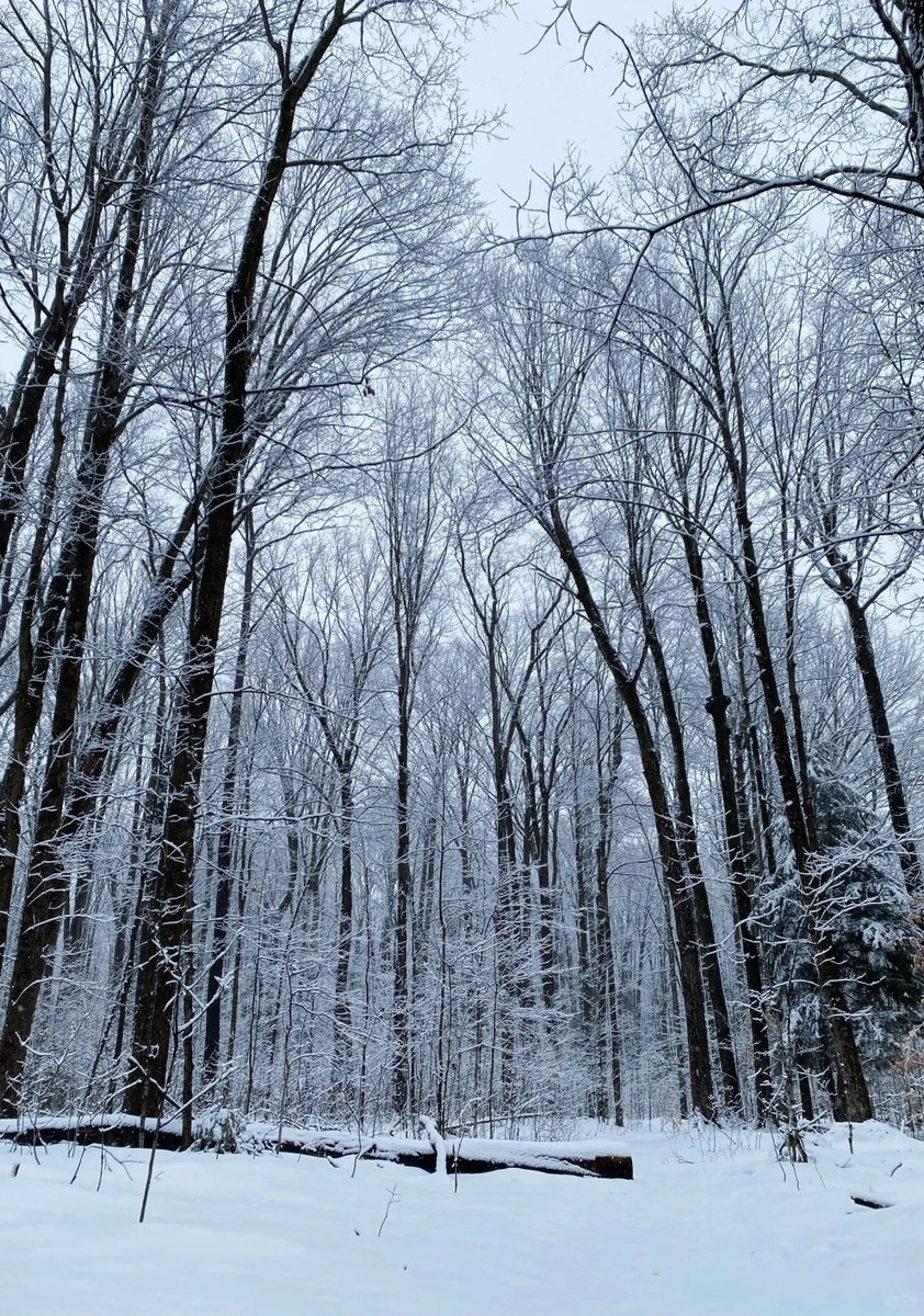 gyufjtyk's tweet image. The mountains are calling and I must go.🌹