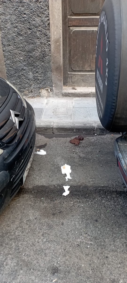 AA.VV. de Triana y Vegueta NO OFICIAL tweet media