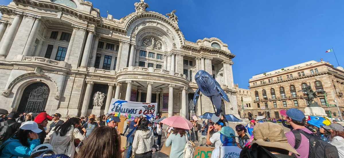 MANU_MNDZ's tweet image. Ballenas o gas en Baja California? #PuertoLibertad #Gaseras @Claudiashein @Avaaz @ESAvaaz @greenpeacemx  #BALLENAFEST