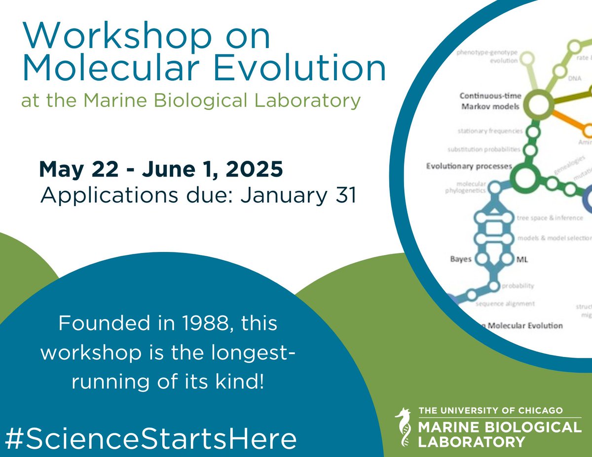 Hey procrastinators, good news—we're feeling generous lately! 📆 

The deadline to apply to the 2025 Workshop on Molecular Evolution has been extended to January 31. Get those applications in soon!

Read more: bit.ly/4jy8FXt
#ScienceStartsHere