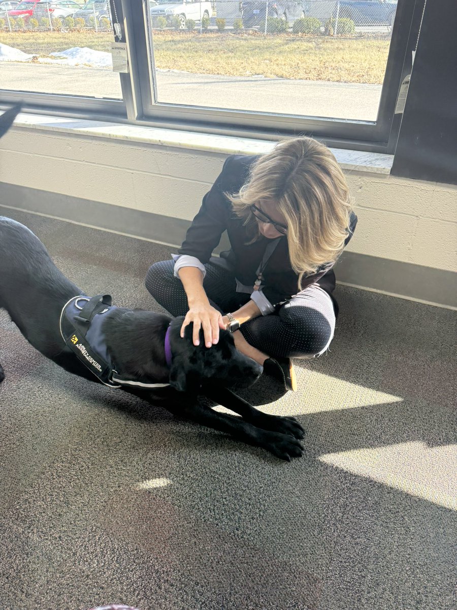 During breaks in our Administrative Team Meeting, our administrators love to chill out with Maggie and Salsa!  <a href="/maumee_schools/">Maumee City Schools</a> <a href="/MaumeeMS/">Maumee Middle School - Mrs. Wojcik</a>