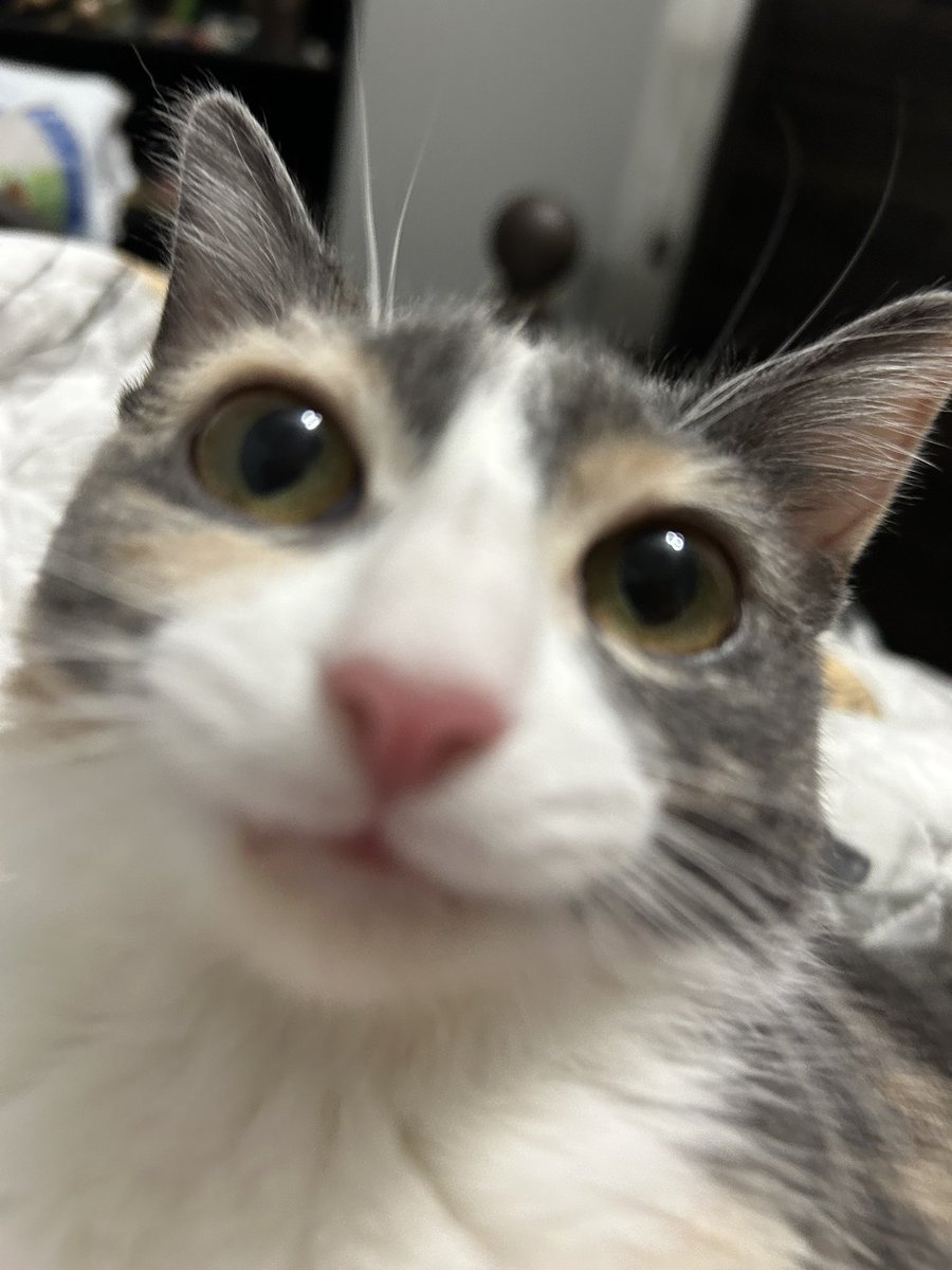 How u ladies doin tonight?