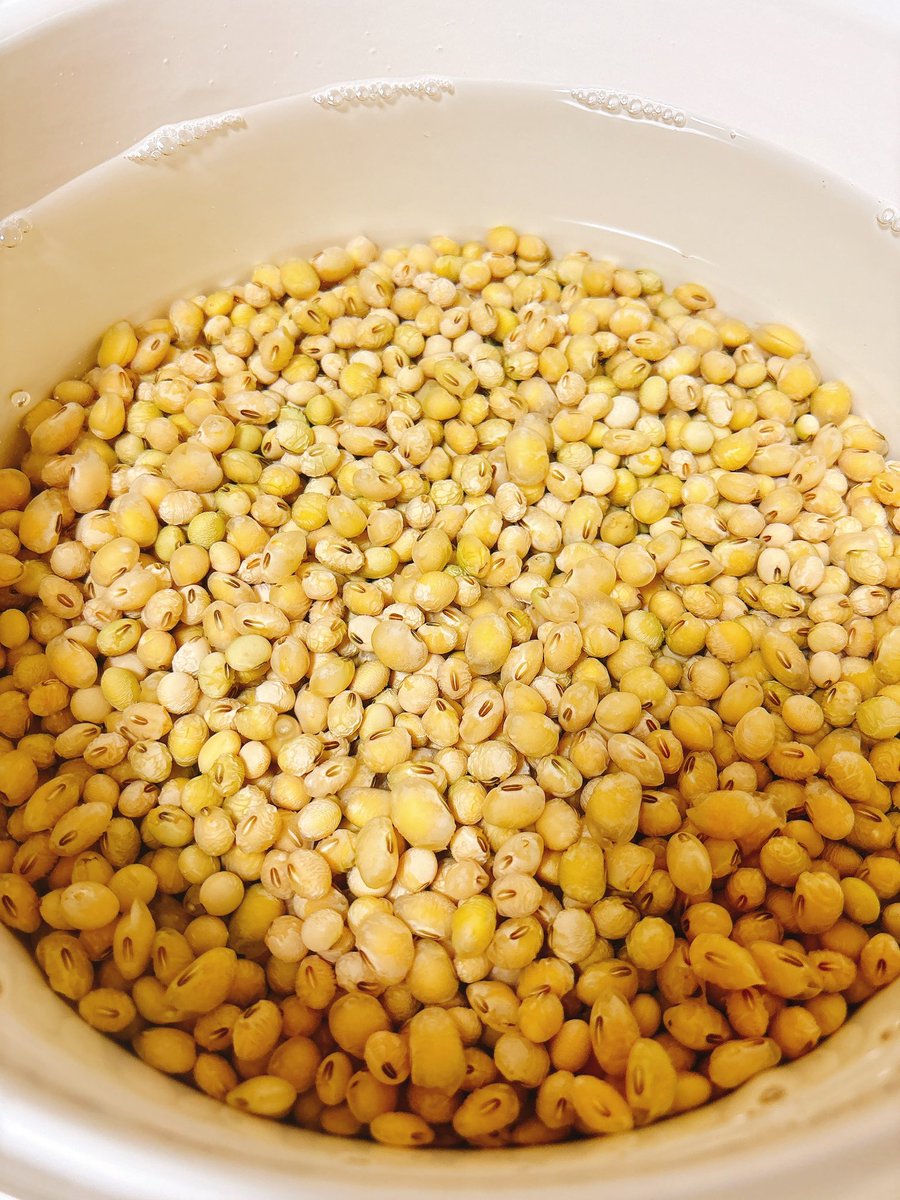 Ukn7777's tweet photo. みんなおはよーーう！
ちょっと大豆がすごいことになってて今日朝配信どころじゃなさそう！！！またお知らせします！
いやいや膨らみすぎじゃない！？集合体恐怖のおかたごめんなさい！お鍋が小さくて何回茹でるか….やばすぎ😨 https://t.co/VC0NFw8acz