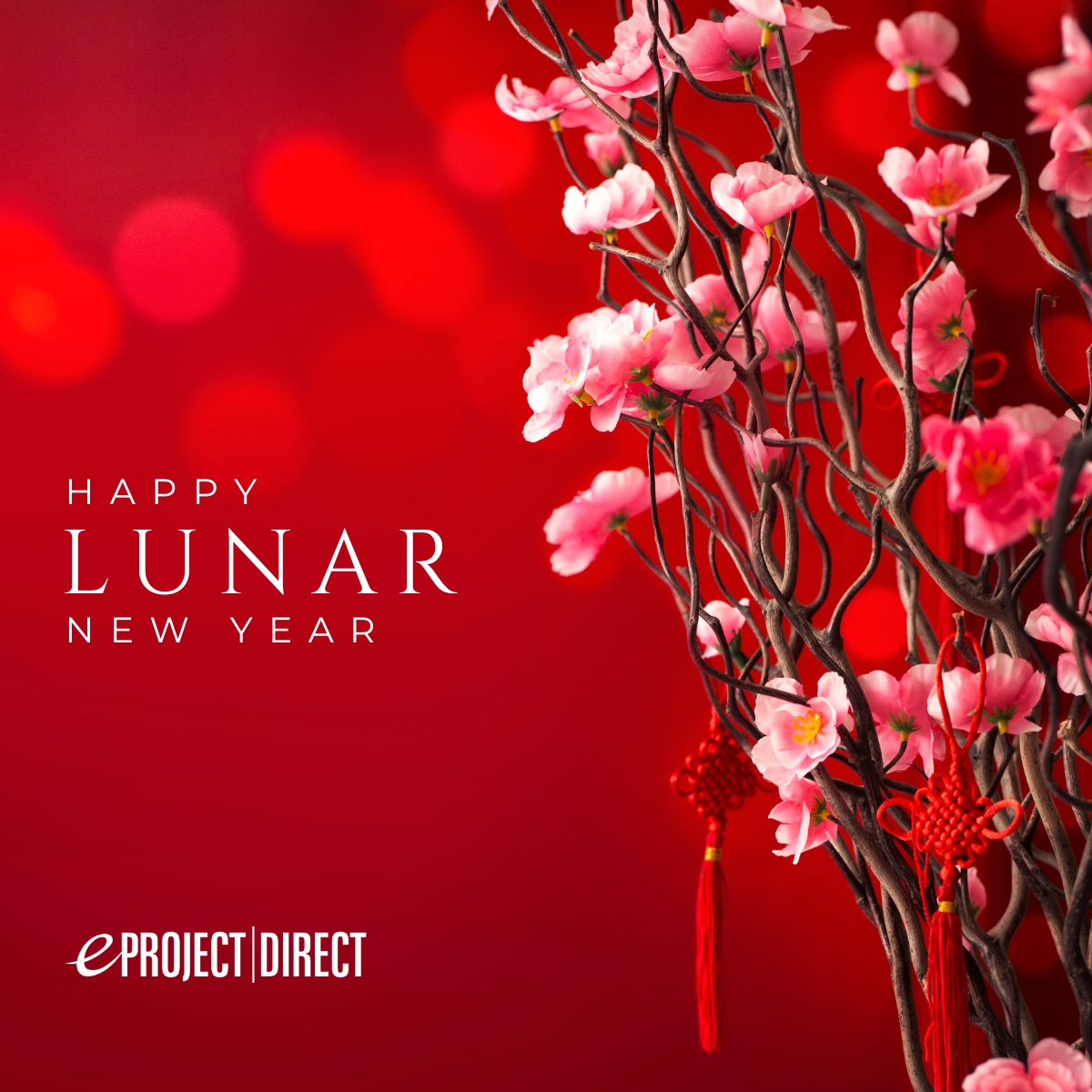 Happy Lunar New Year! 🎉✨ Let’s celebrate the Year of the Snake, a symbol of wisdom and grace. 🐍 #LunarNewYear #YearOfTheSnake #CelebrateTogether