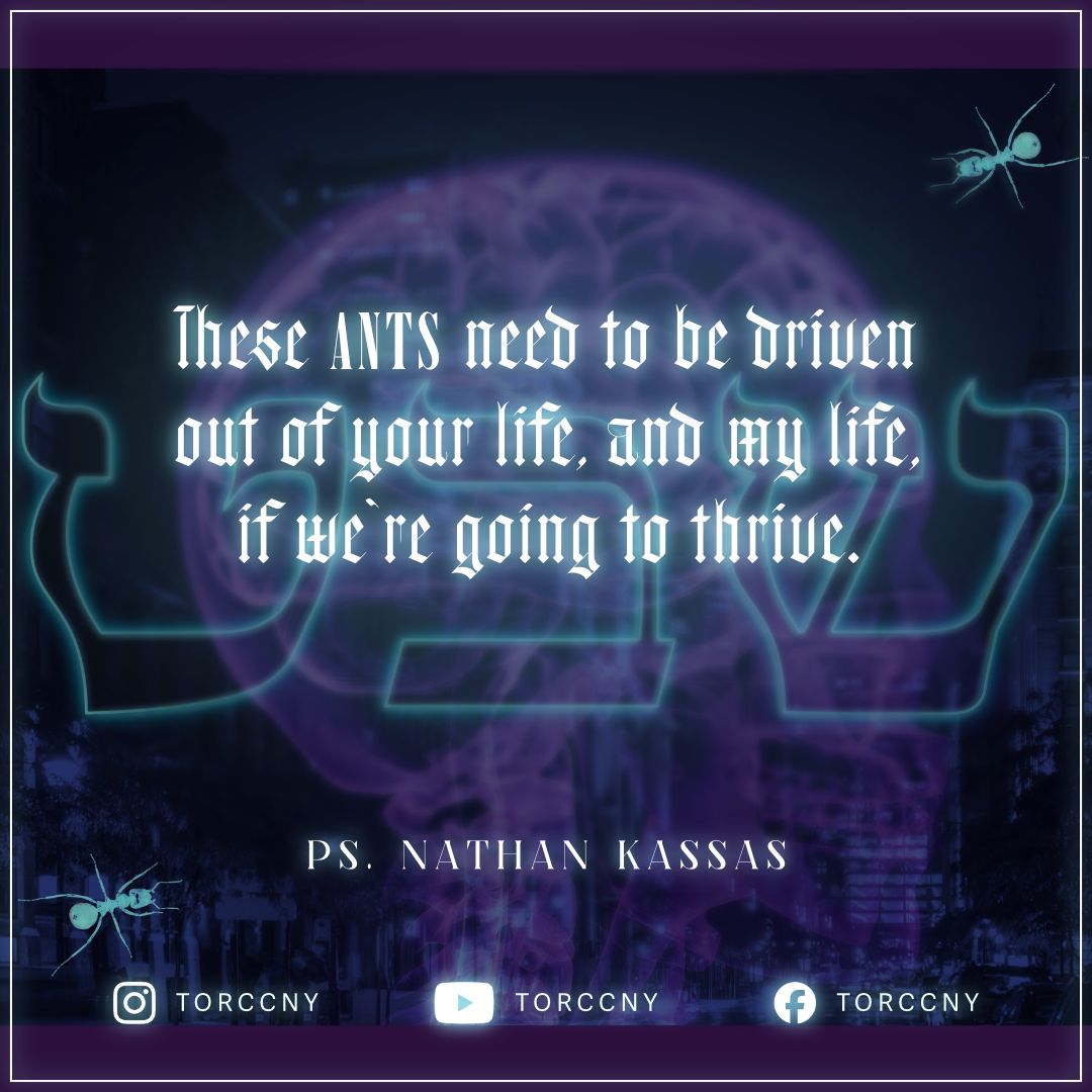 torccny's tweet image. 🔥 &quot;When you take the land, you don’t just get it automatically.&quot; 🔥

Watch the sermon here:
buff.ly/3CBRLGE
-
#apostolic #prophetic #fivefold #church #newyork #nychurch #torcc #torccnyc