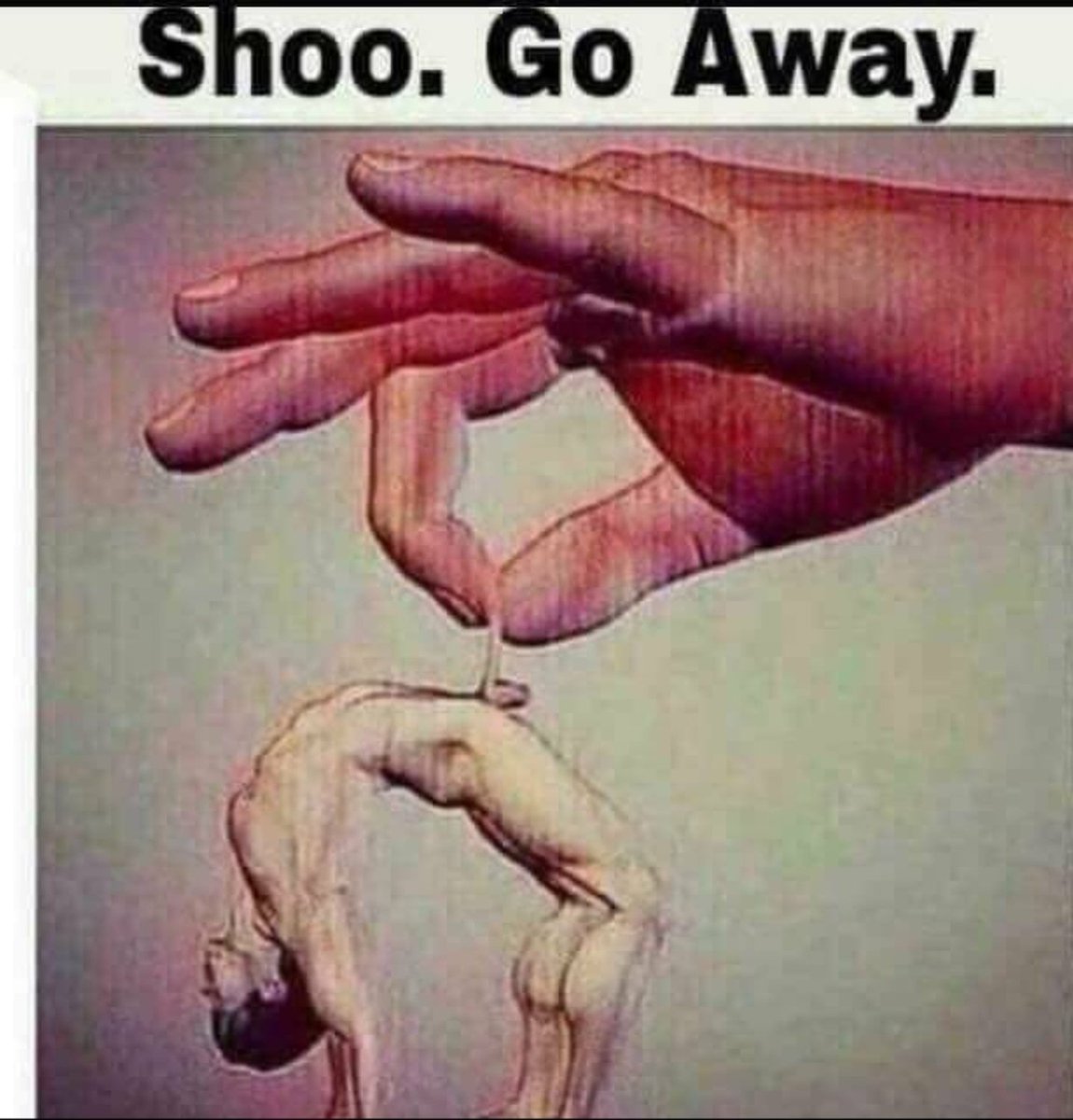 Angelique (@angeliquesp.bsky.social) St.Pierre tweet media