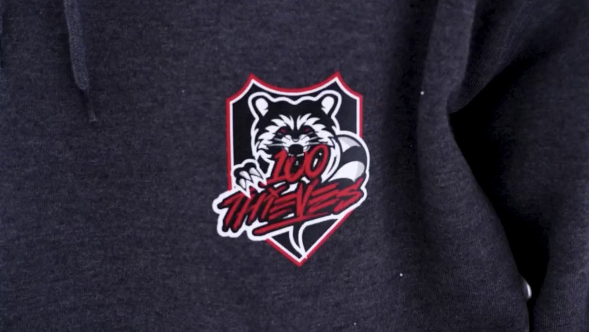 驚き！ 💯 x 🦝