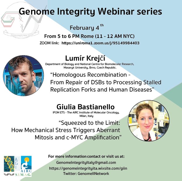 Our next GiiN webinar will feature Lumír Krejčí from <a href="/muni_cz/">Masarykova univerzita</a> and Giulia Bastianello from <a href="/IFOMresearch/">IFOM</a>. Join us on Tuesday, February 4th from 5-6 PM Rome Time for a lively discussion on genome integrity maintenance here: uniroma1.zoom.us/j/95149984403