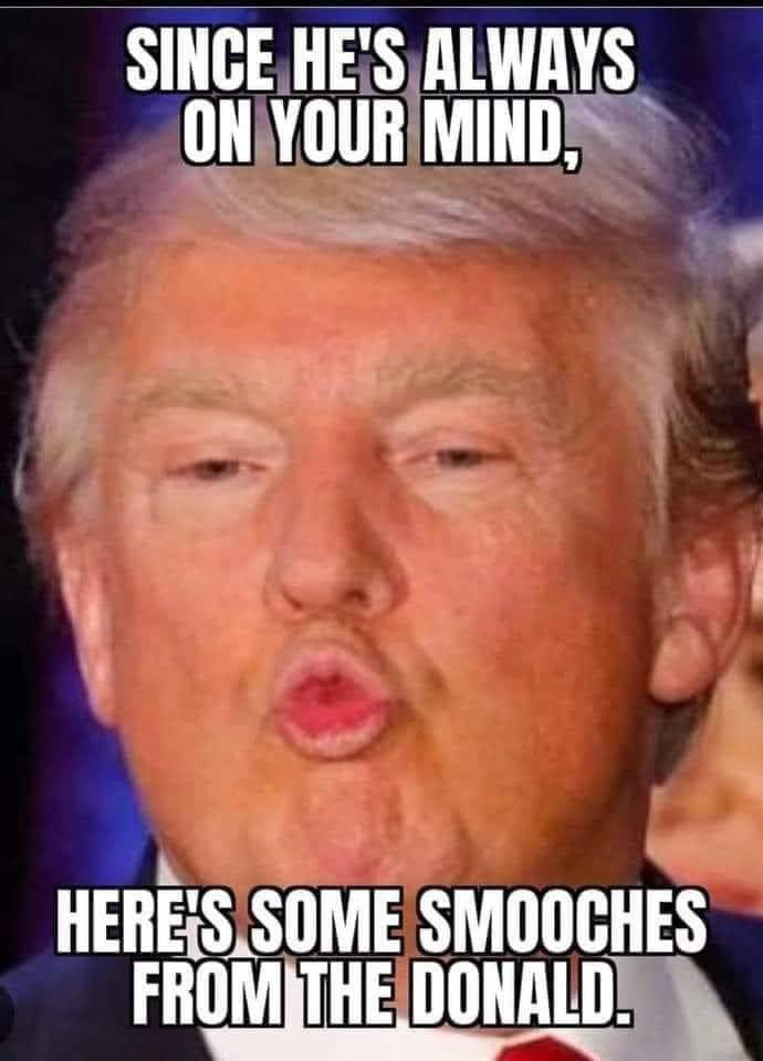TheRedLad2021's tweet photo. @ScottPresler I wonder why you got refused into the border patrol......to stupid to pass the tests or too gay looking.....bet you won't reveal why............get your haircut hippy.... https://t.co/USHskRKJB1