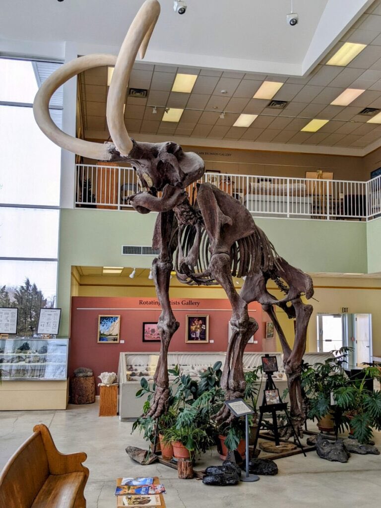 👀 Did you know that one of the best preserved Colombian Mammoths ever discovered was in central Utah, and a complete life-size replica exists in my hometown’s museum in Fairview?…
