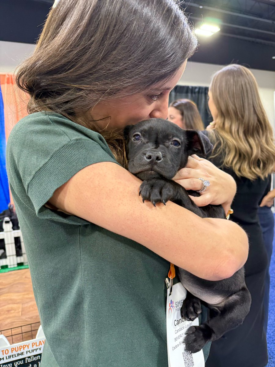 Today’s agenda: cardio obstetrics, perinatal epidemiology, and puppies. #SMFM2025