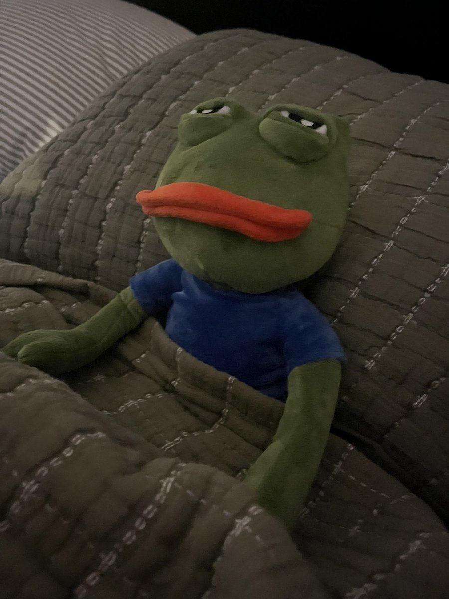 Me sitting up all night wondering why I went to work instead of becoming a millionaire on $jellyjelly