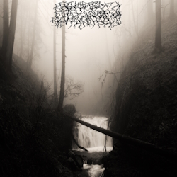 pregonermetall's tweet photo. QUIET HUMAN (França) presenta nova col·laboració: "Echos D'un Passé Perdu" #QuietHuman #FolkRock #Experimental #ProgressiveDeath #DoomMetal #Desembre2024 #França #NovaCol·laboració #Metall #Metal #MúsicaMetal #MetalMusic https://t.co/EQlABymFD8