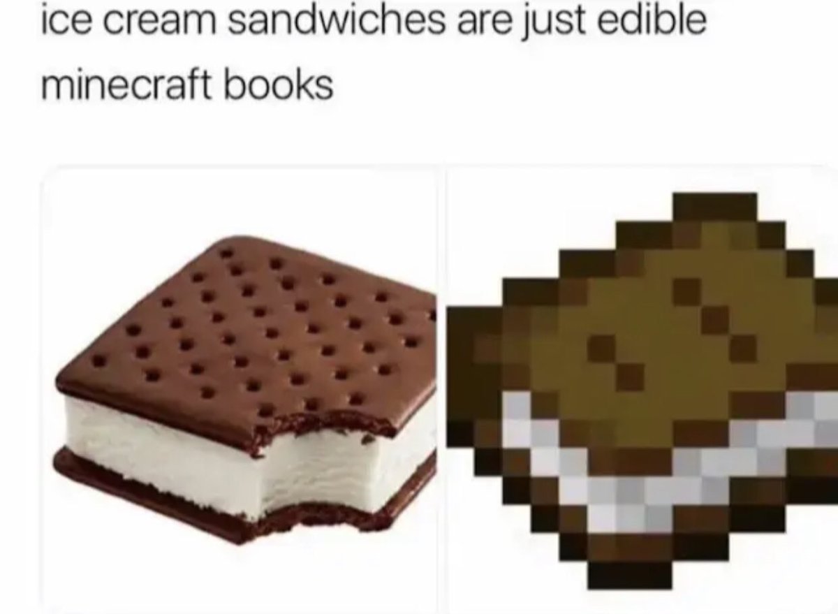 I can never see minecraft books the same way.