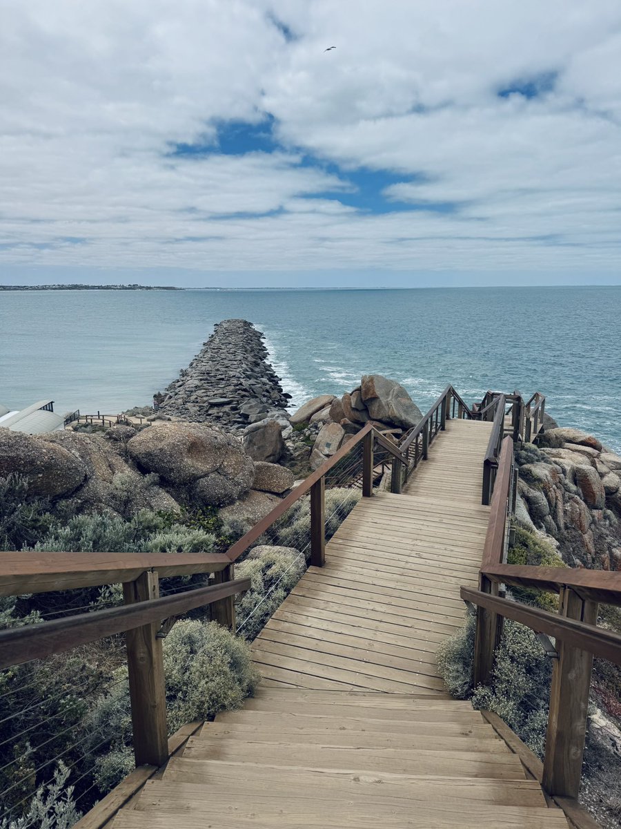 britt_ando's tweet photo. Mr &amp; Mrs John Lemon take Victor Harbor ☀️🐬 @cheyneos https://t.co/usQz4USPd4