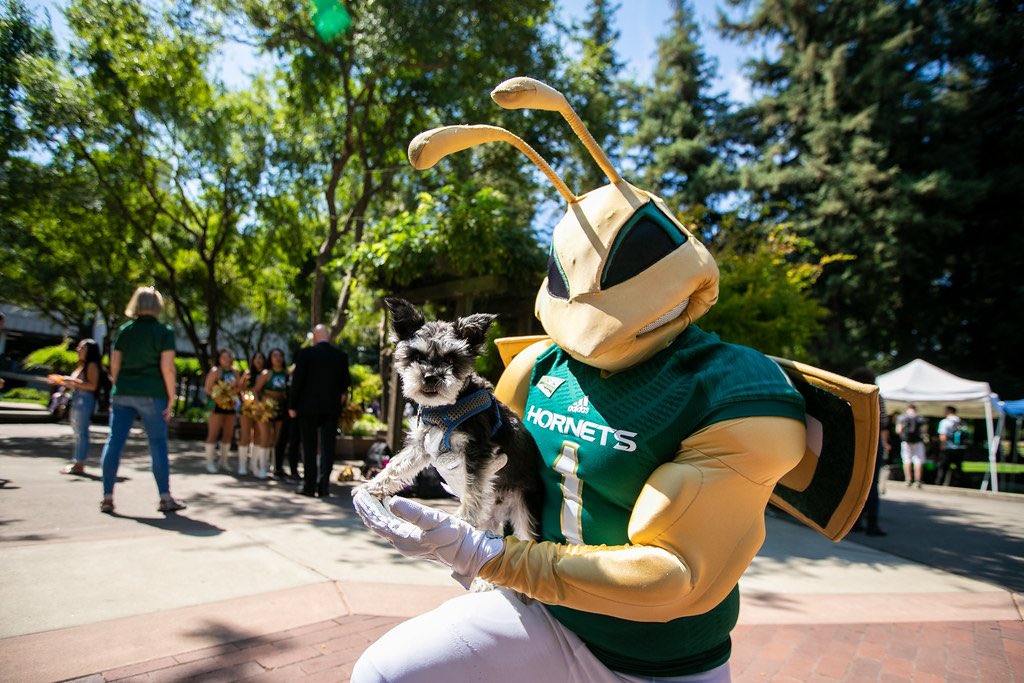 Kye.Duval tweet media