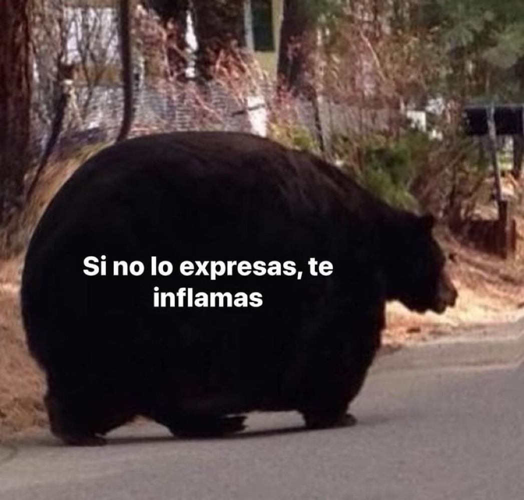 En efecto.