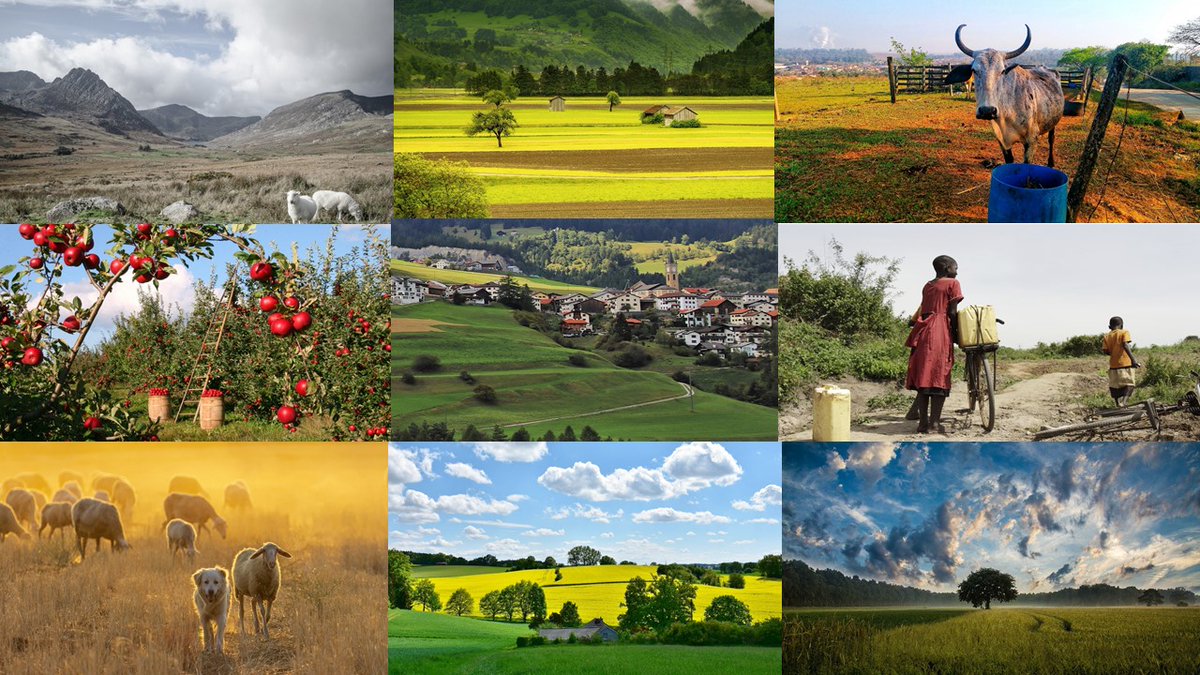 SÄKRAPLATSER tweet media