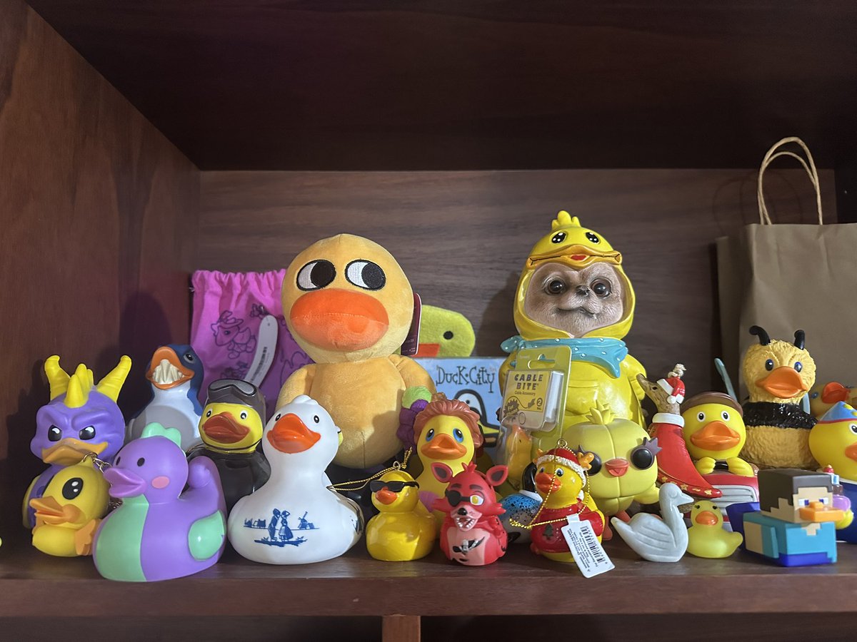 Duckable tweet media