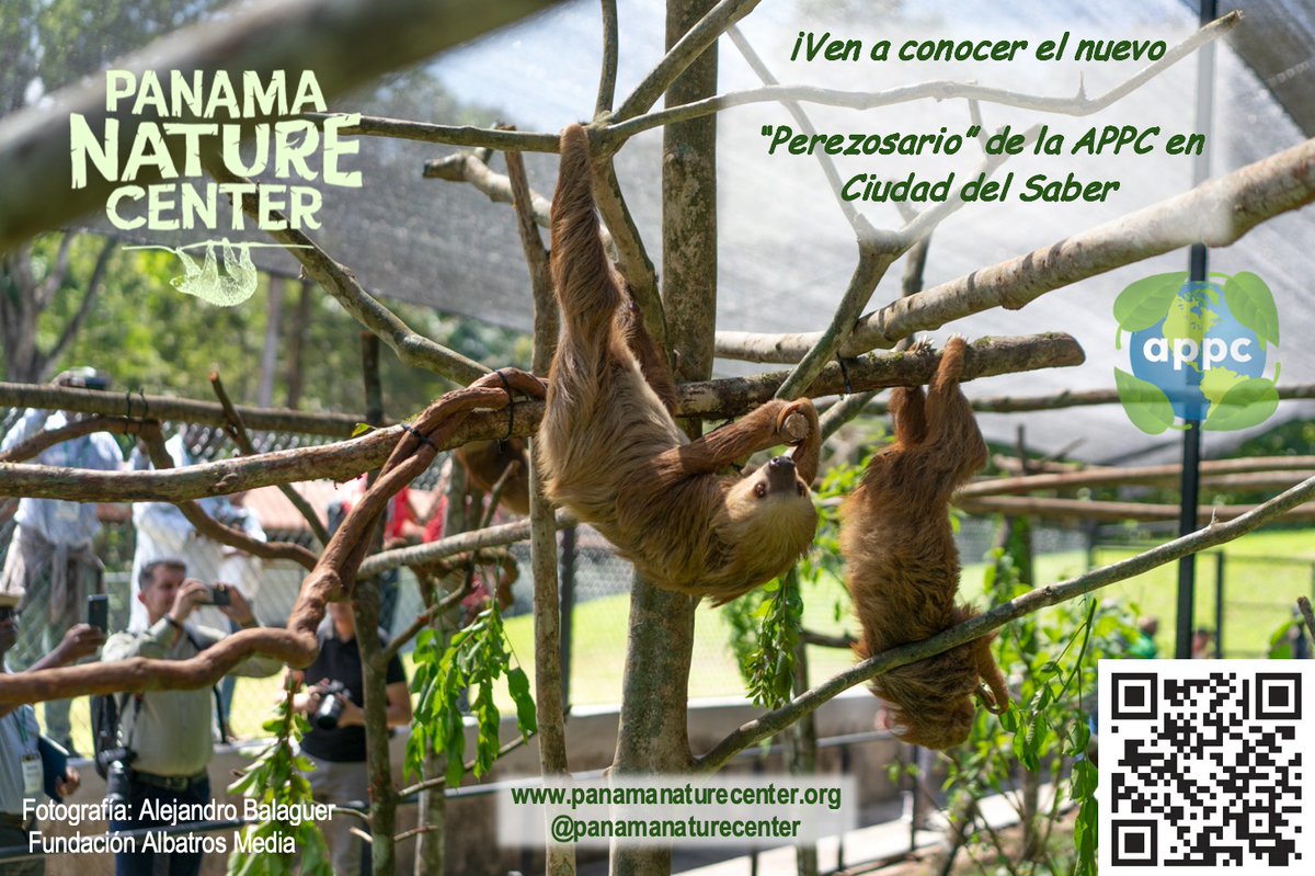 Ven a conocer nuestro futuro centro de rehabilitación de perezosos, el Panamá Nature Center, ubicado en Ciudad del Saber / Calle Rosa Landecho